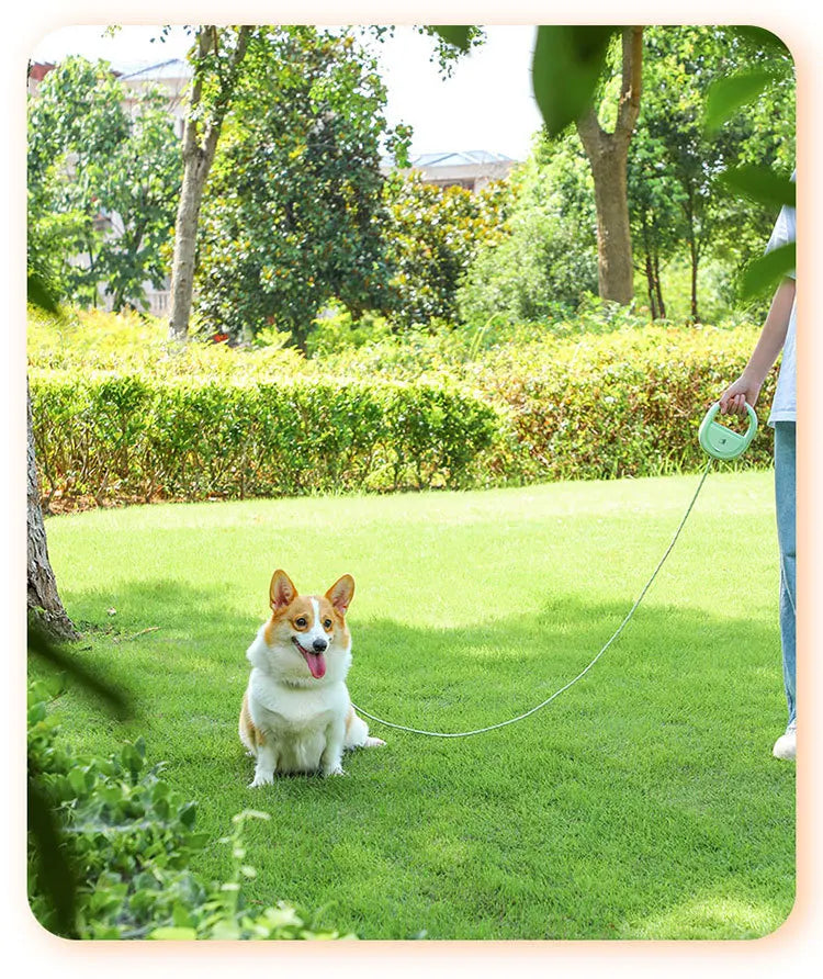 Retractable Dog Leash Pet Leash Traction Rope Belt Automatic Flexible Leash For Small Medium Large Dog Product Accessories