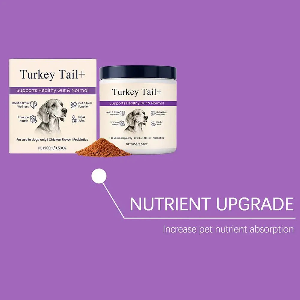Dog Probiotic Intestinal Powder Delicious Bacon Flavor Digestive Support Long Shelf Life Premium Pet Health Supplement