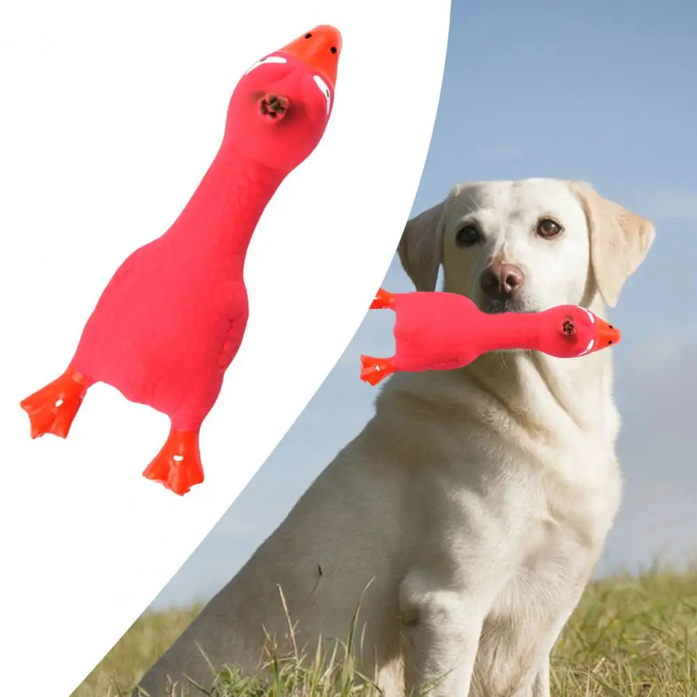 17*6.5cm Latex Chicken Dog Toy With Sound Boredom Relief Teeth Cleaning Molar Bite-Resistant Funny Squeaky Chicken Dog Chew Toy