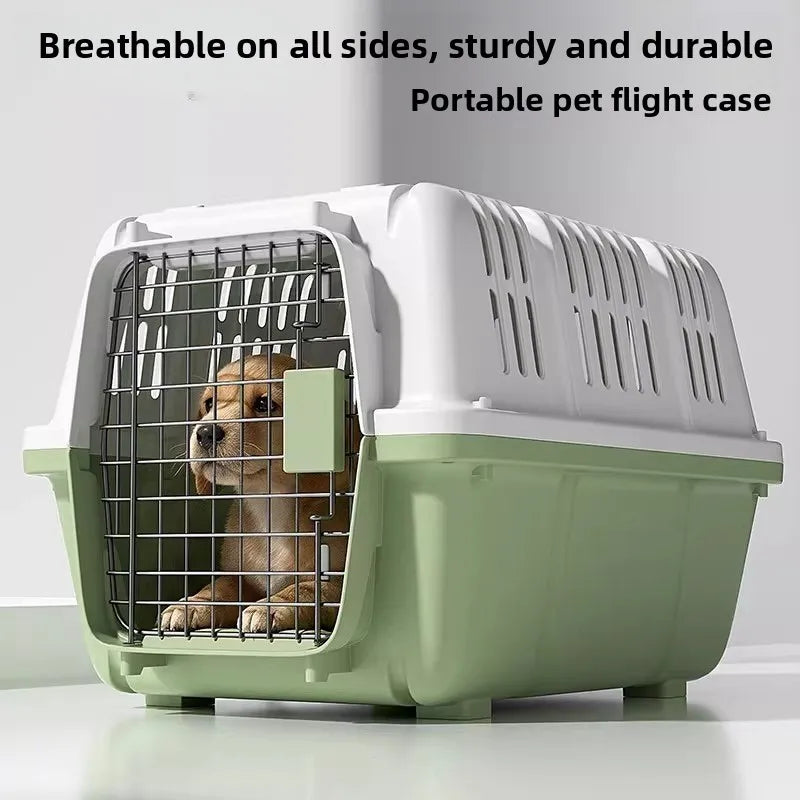 Pet Carrier Hard Plastic Travel Crate for Cats and Small Dogs Ventilated Car Kennel with Sturdy Handle for Outdoor Hiking
