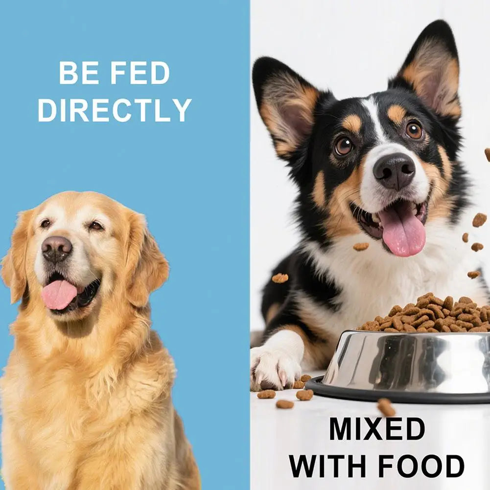 Dog Probiotic Intestinal Powder Delicious Bacon Flavor Digestive Support Long Shelf Life Premium Pet Health Supplement