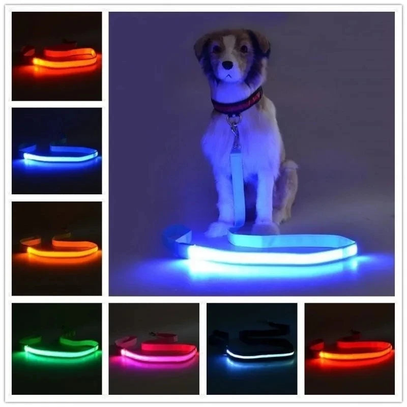 Glowing Led Dog Leash Usb Rechargeable Pet Dog Flashing Nylon Webbing Leashes- 3 Lighting Modes Keep Your Pets Safe In Darkness
