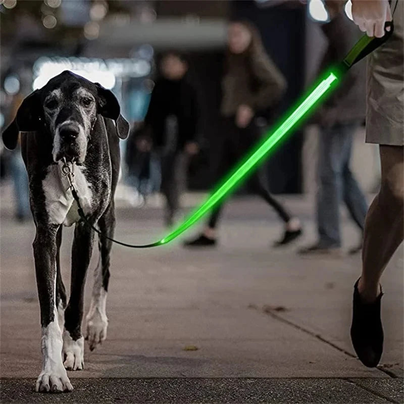 Glowing Led Dog Leash Usb Rechargeable Pet Dog Flashing Nylon Webbing Leashes- 3 Lighting Modes Keep Your Pets Safe In Darkness