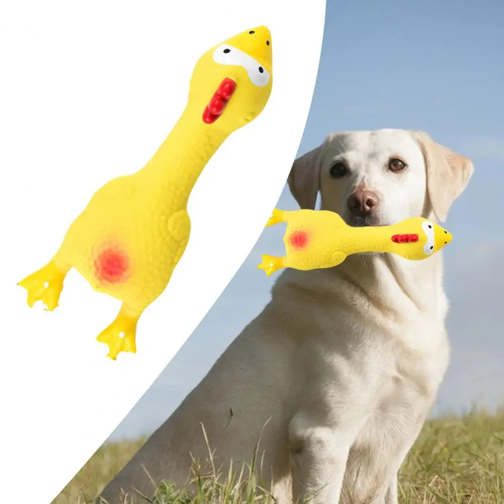 17*6.5cm Latex Chicken Dog Toy With Sound Boredom Relief Teeth Cleaning Molar Bite-Resistant Funny Squeaky Chicken Dog Chew Toy