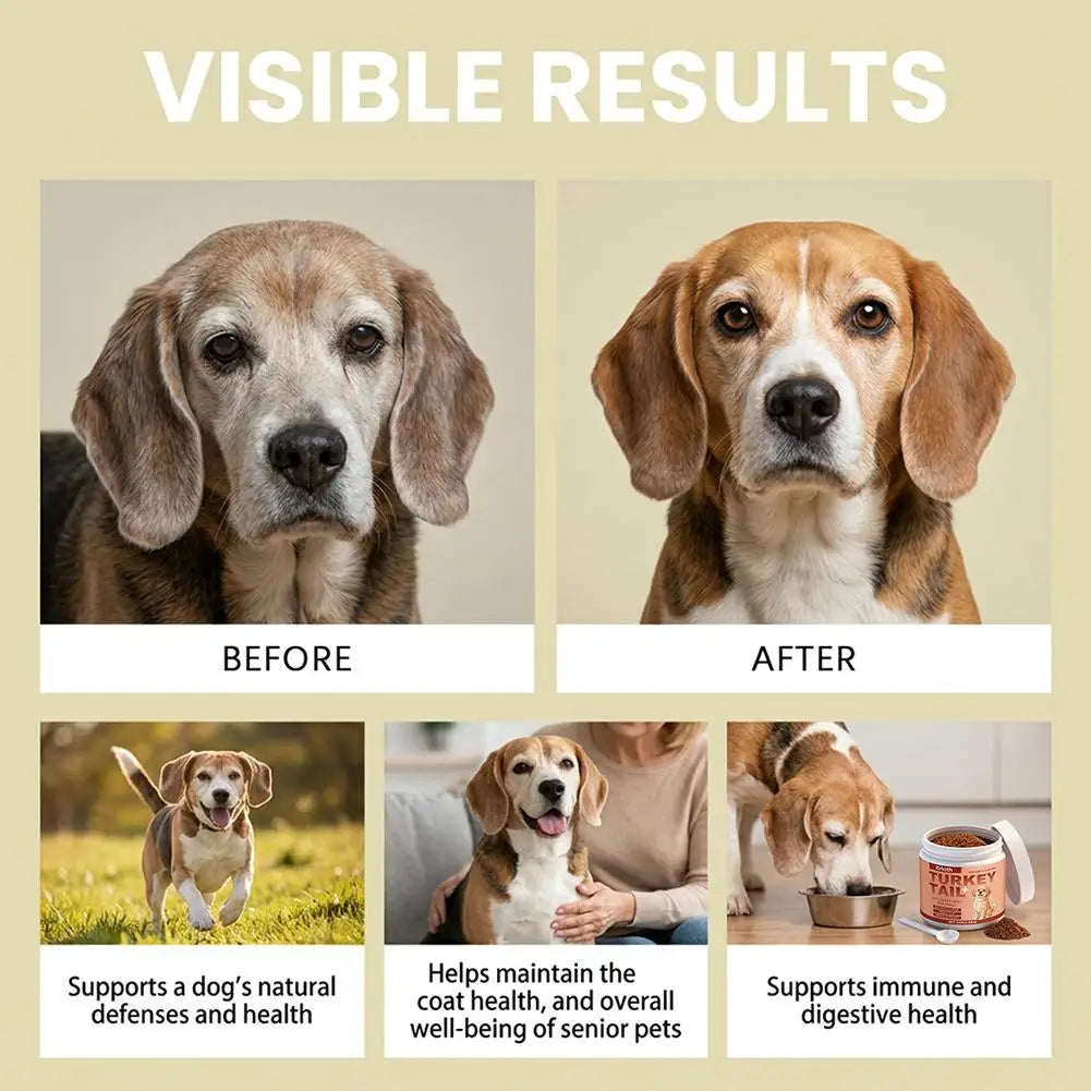 Dog Immune Support Supplement – Daily Immunity Defense, Promotes Healthy Immune System Function for Breeds, Easy-Mix Powder 100g