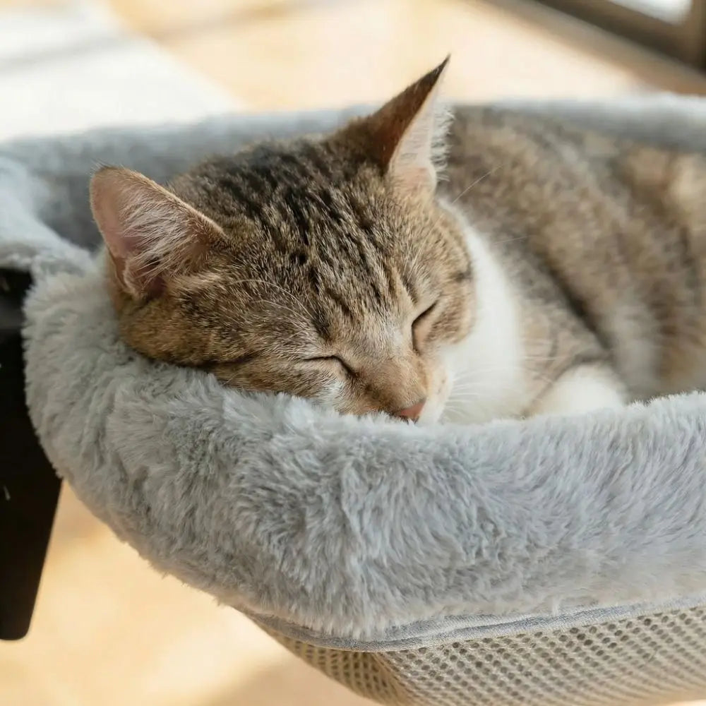 Creative Semi-Circular Cat Table Bed Detachable Soft Cat Desk Hammock Non-Slip Clamp Comfortable Folding Cat Bed Computer Desk