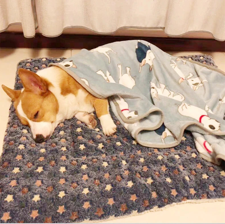 Flannel Pet Sleeping Mat Dog Bed Cat Litter Puppy Bed Dog Sofa Lovely Mattress Cushion for Small Large Dog Blanket For Winter