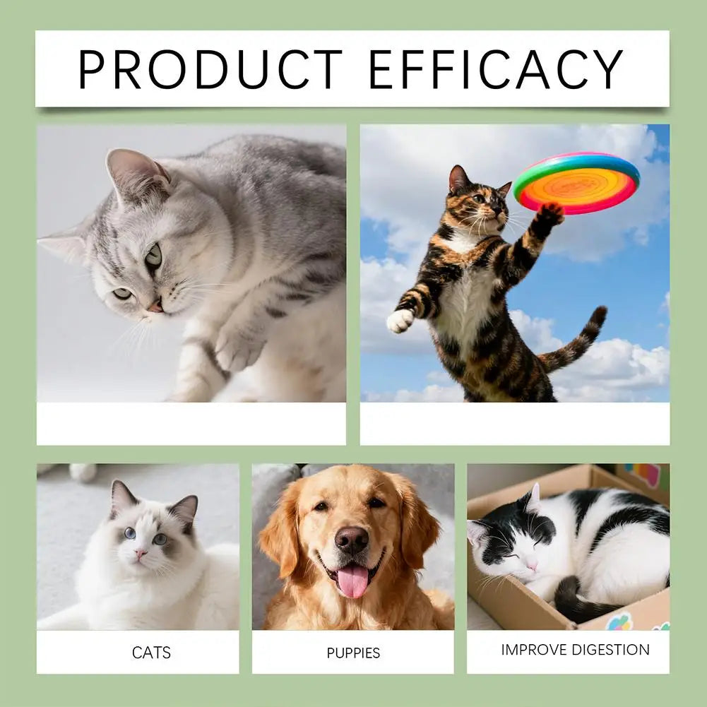 60ML Pet Nutrition Supplement Probiotic Drops Containing Enzymes Used For Pet Digestion And Immune Daily Health Supplement