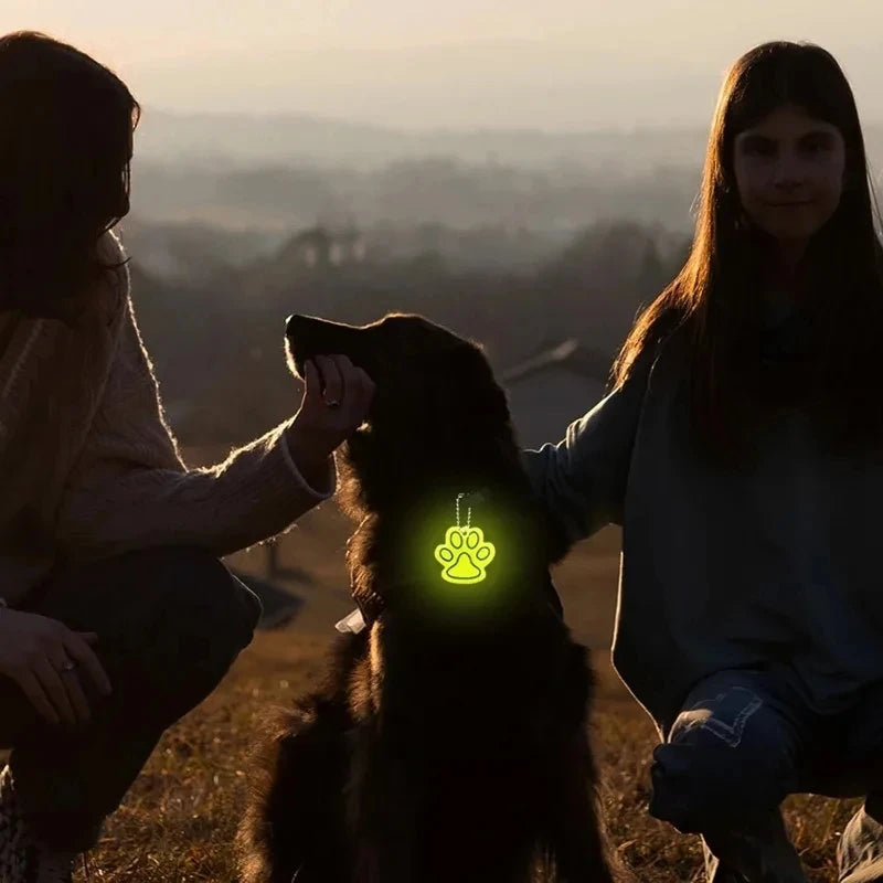 Glowing Led Dog Leash Usb Rechargeable Pet Dog Flashing Nylon Webbing Leashes- 3 Lighting Modes Keep Your Pets Safe In Darkness