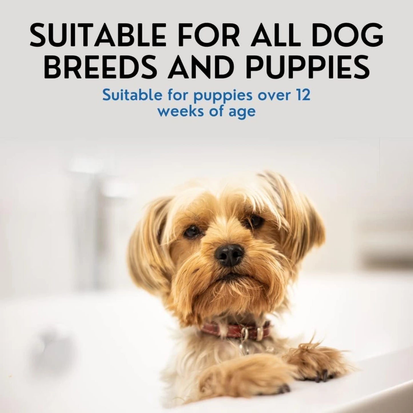 ATUBAN 16 floz 5 in 1 Dog Shampoo for Itchy Skin - Sensitive Skin Dog Shampoo for Smelly Dogs - Dog Shampoos & Conditioners
