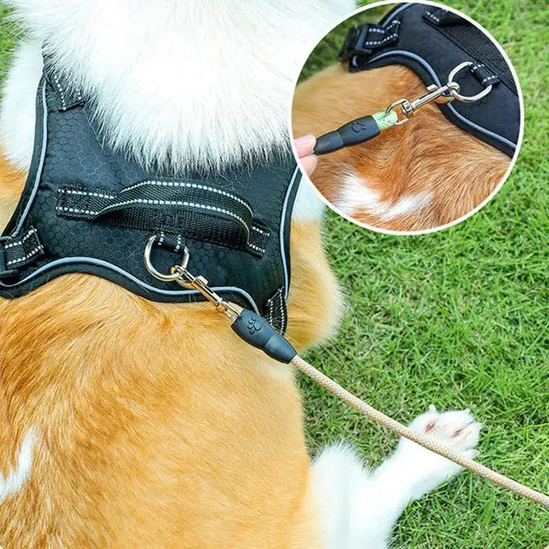Retractable Dog Leash Pet Leash Traction Rope Belt Automatic Flexible Leash For Small Medium Large Dog Product Accessories