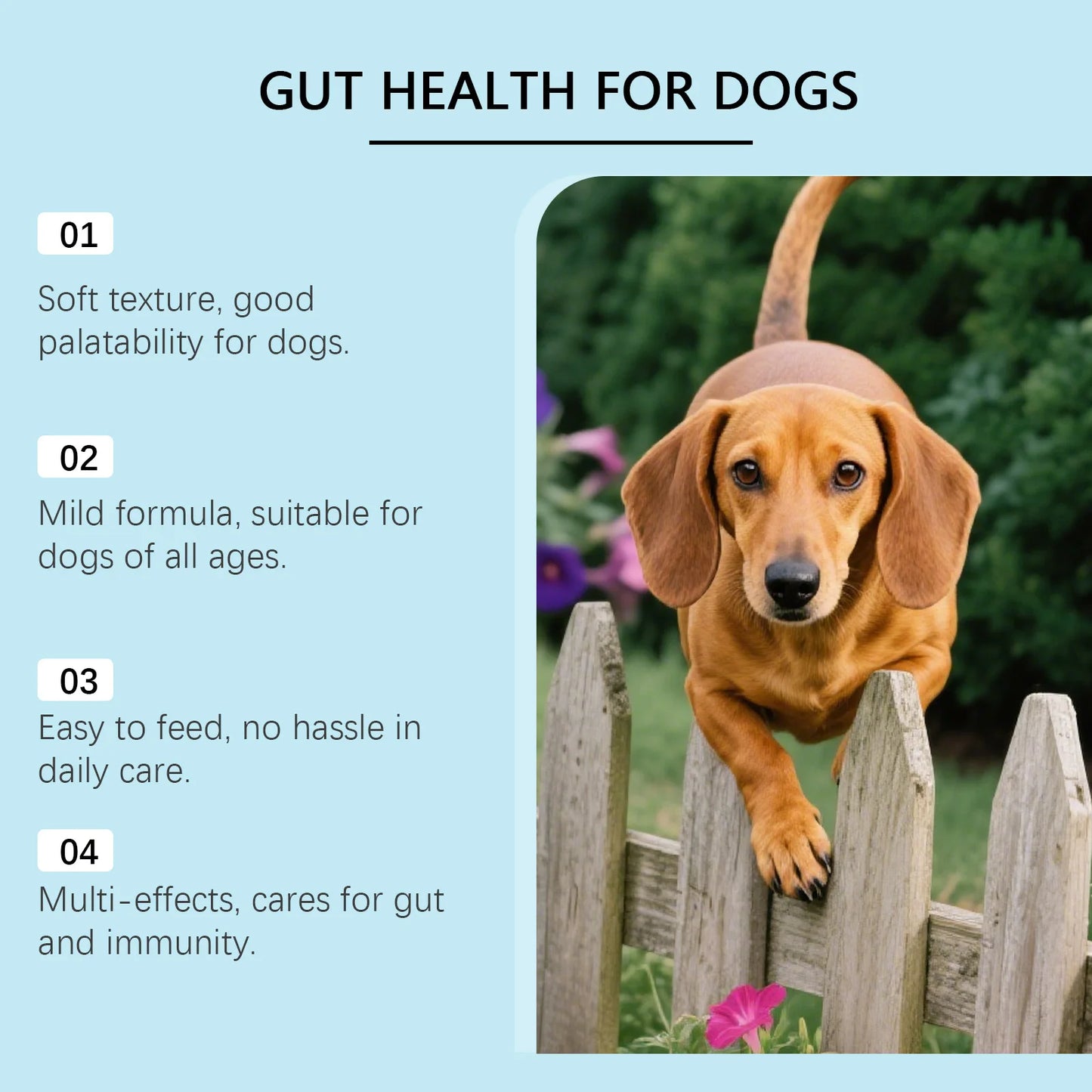 200g Dog Body Care Soft Granules-Protect Pet Health Aid Digestion Enhance Nutrient Absorption Balance Gut Flora Pet Comfort Care