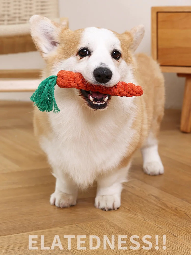Chew Toys For Small Dogs Puppy Cleaning Teeth Bite Resistant Carrot Cotton Rope Pet Playing Toy Accessories Pet Supplies