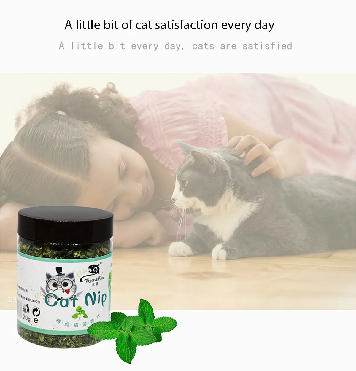 Organic 100% Natural High Quality Catnip Cattle Grass Mint Taste Funny Cat Toy New Cat Toy Interactive Cat Toys Pet Supplies