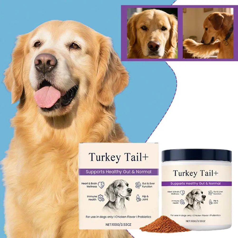 Dog Probiotic Intestinal Powder Delicious Bacon Flavor Digestive Support Long Shelf Life Premium Pet Health Supplement