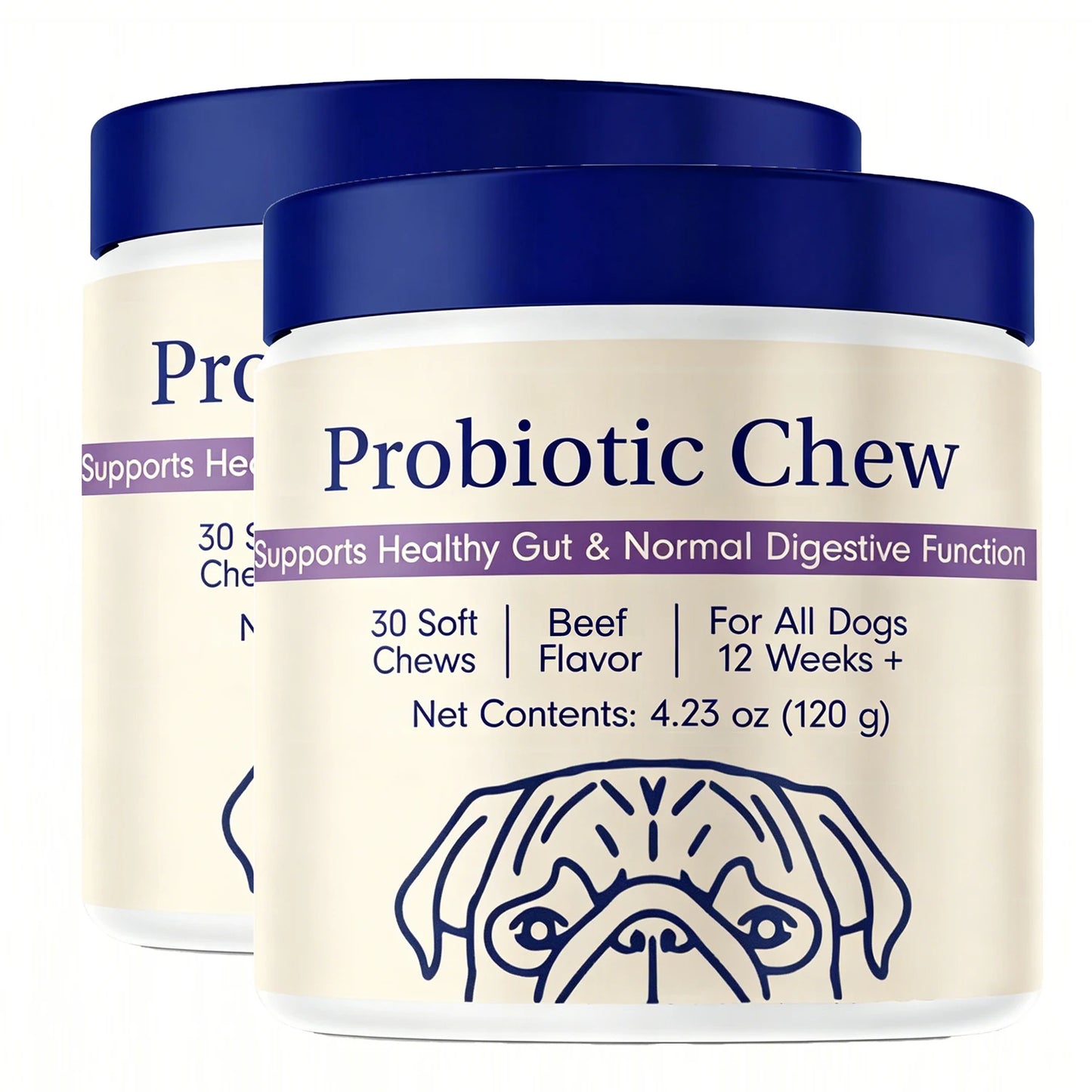 Dog Probiotics Chews - Dog Probiotics for Gut Health, Occasional Diarrhea, Digestive Health & Seasonal Allergies, Beef Flavor