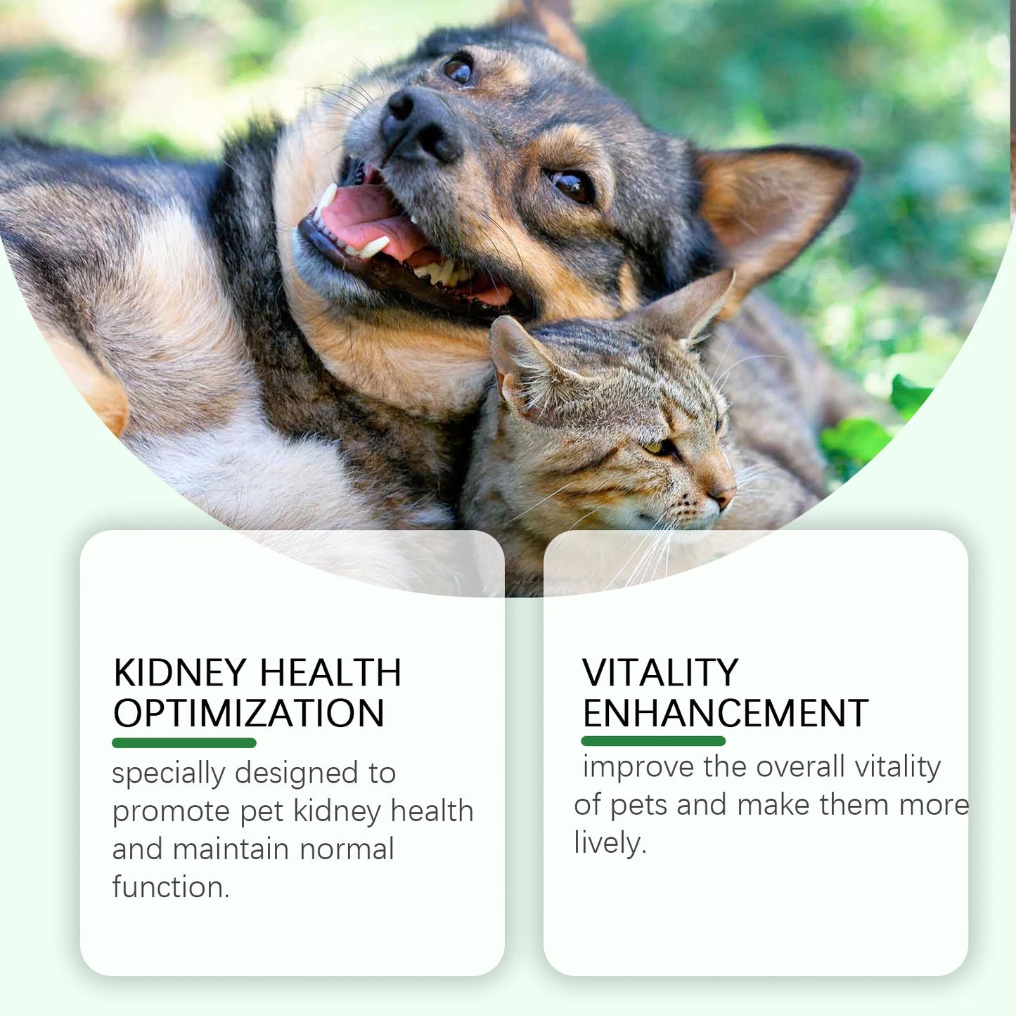 Yegbong Pet Care Supplement for Promoting Kidney Health – Enhances Pets' Vitality with Gentle Ingredients