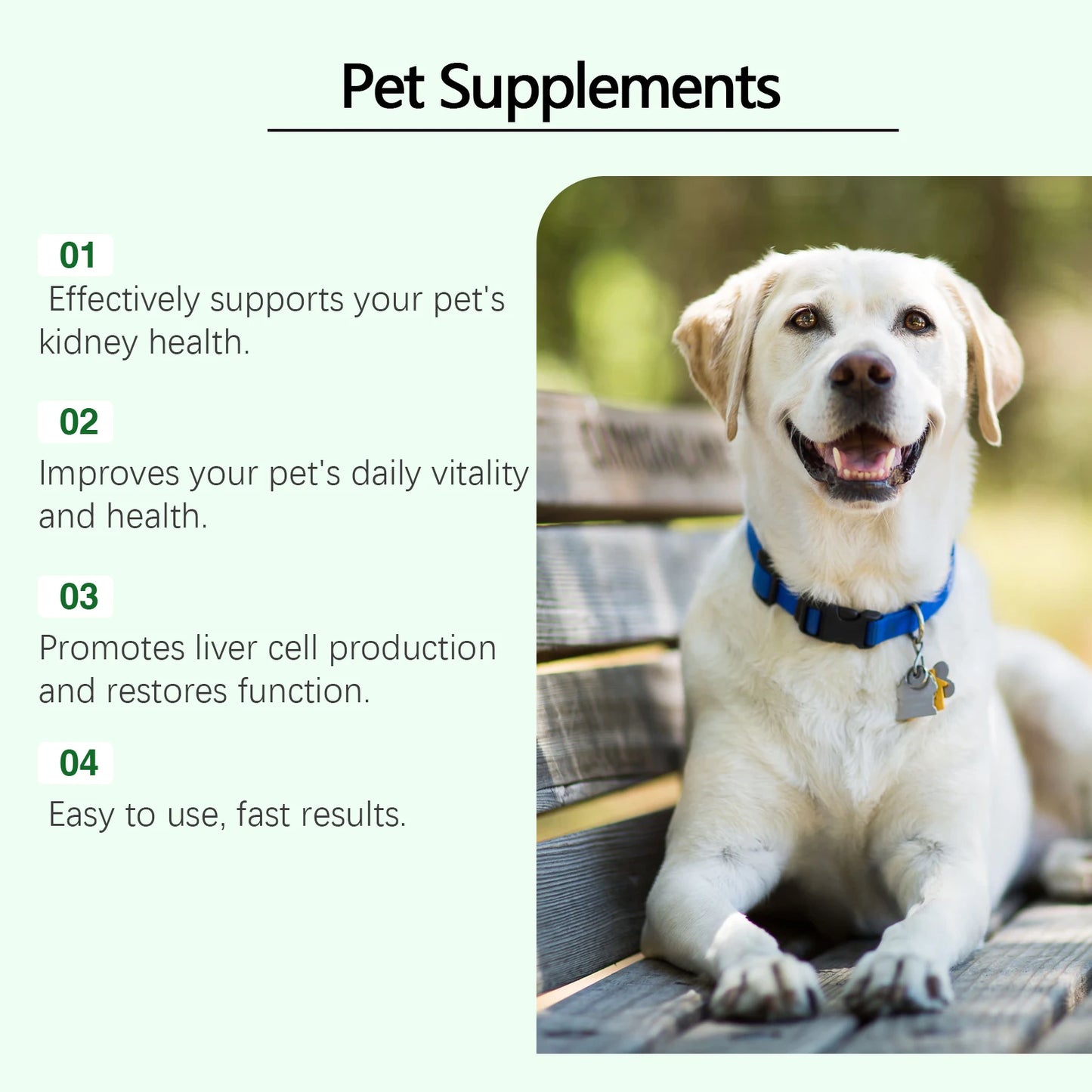 Yegbong Pet Care Supplement for Promoting Kidney Health – Enhances Pets' Vitality with Gentle Ingredients