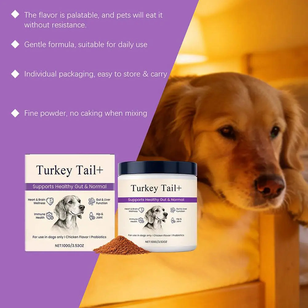 Dog Probiotic Intestinal Powder Delicious Bacon Flavor Digestive Support Long Shelf Life Premium Pet Health Supplement