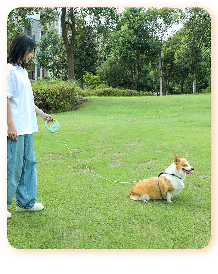 Retractable Dog Leash Pet Leash Traction Rope Belt Automatic Flexible Leash For Small Medium Large Dog Product Accessories