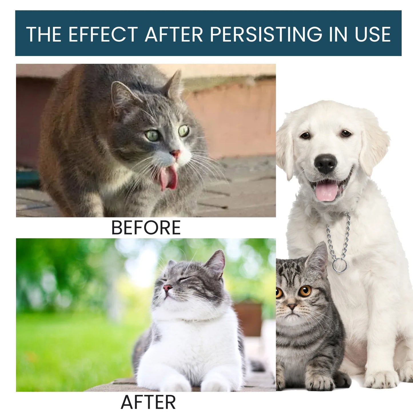 Yegbong Pet Health Drops Cats Dogs Balanced Nutrition Enhance Puppy Kitten Disease Immunity Multi Vitamin Pet Health Supplements