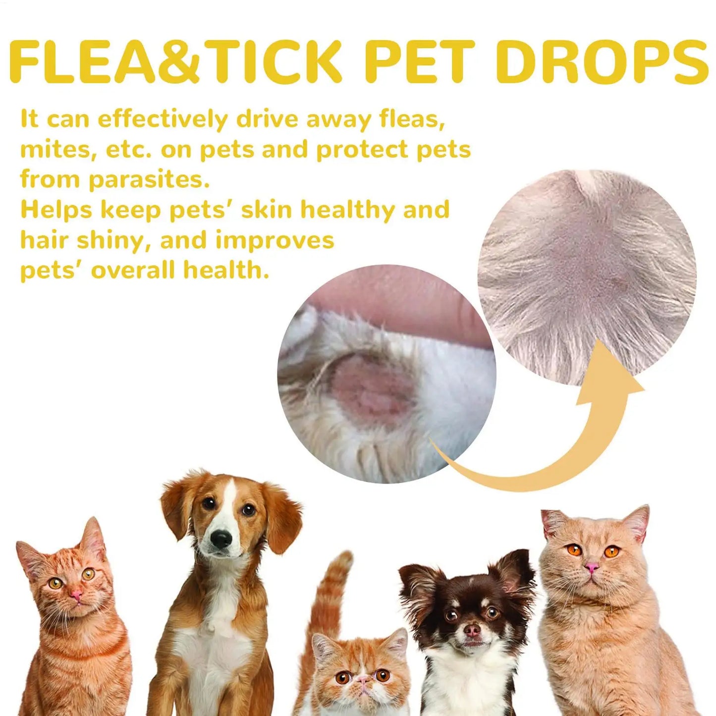 Cat Anti Flea Drops Flea Lice Remove Relieve Skin Itching External Insect Repellent Deworming Supplies Pet Tick Treatments Drops
