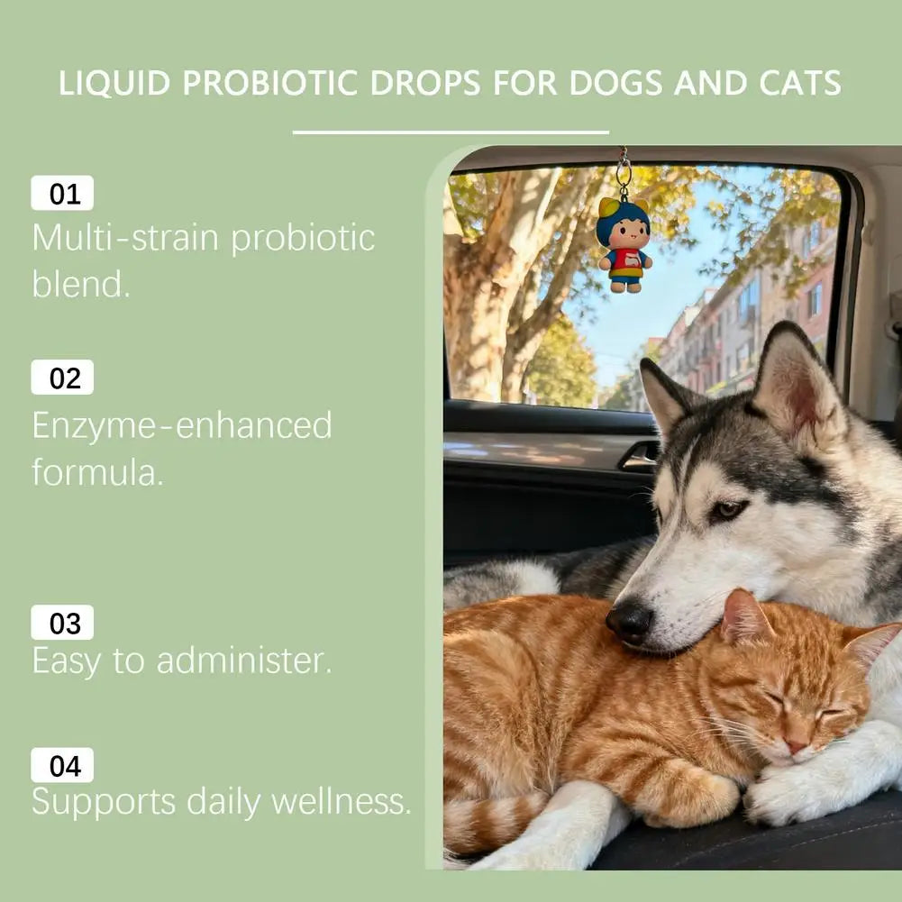 60ML Pet Nutrition Supplement Probiotic Drops Containing Enzymes Used For Pet Digestion And Immune Daily Health Supplement