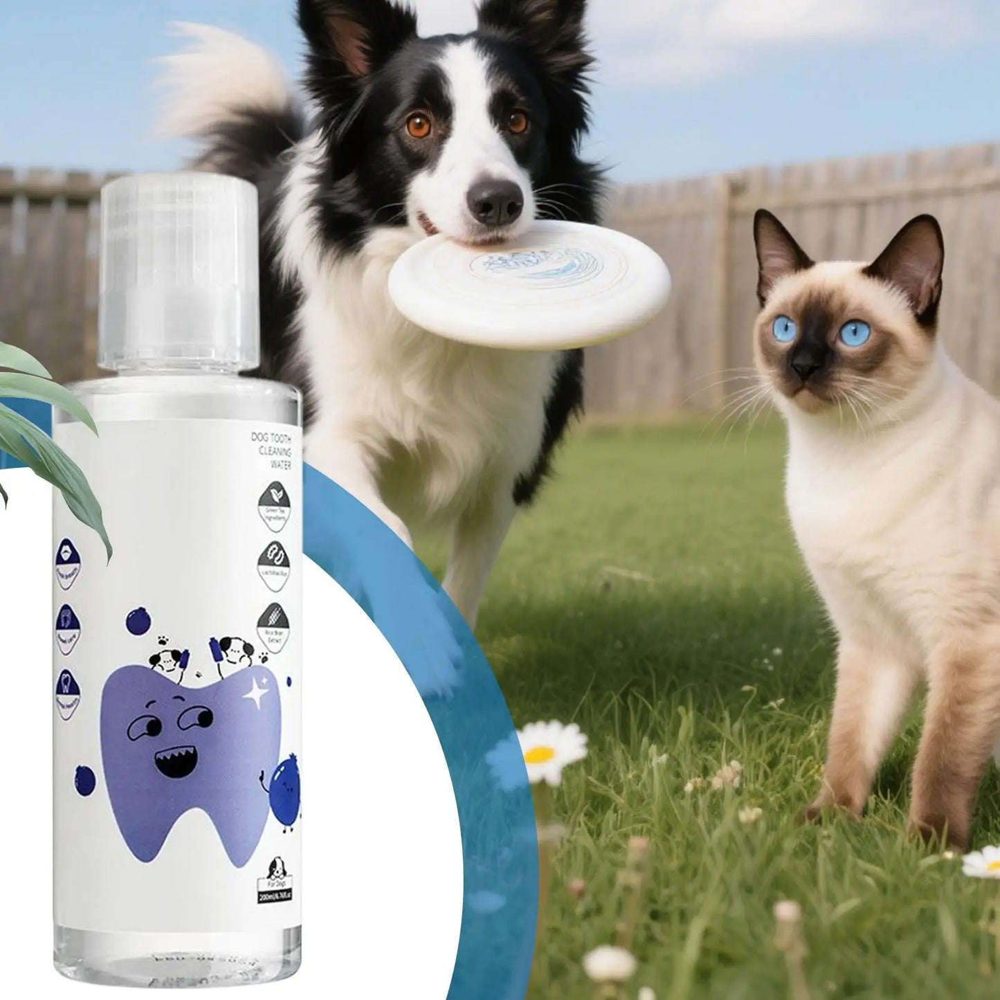 200ml Dog Dental Water Additive Teeth Care Solution Plaque Tartar Remover for Dog Cat Teeth Cleaning Care Natural Breath Remover