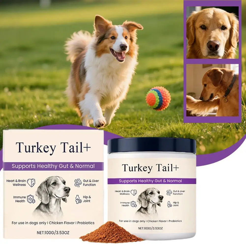 Dog Probiotic Intestinal Powder Delicious Bacon Flavor Digestive Support Long Shelf Life Premium Pet Health Supplement
