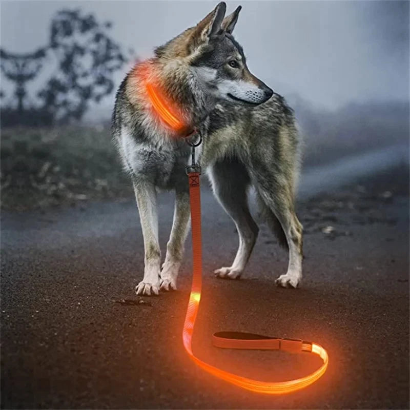 Glowing Led Dog Leash Usb Rechargeable Pet Dog Flashing Nylon Webbing Leashes- 3 Lighting Modes Keep Your Pets Safe In Darkness