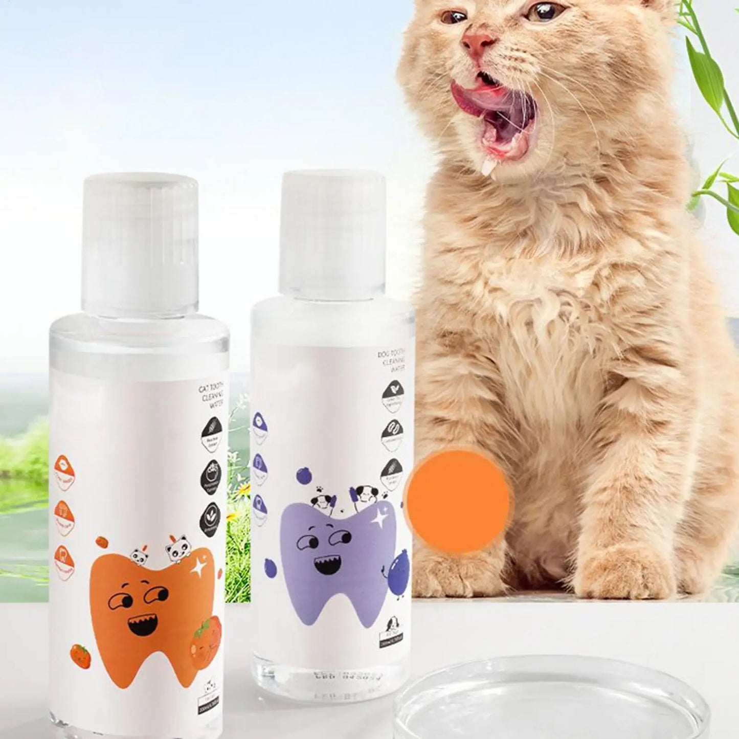 200ml Dog Dental Water Additive Teeth Care Solution Plaque Tartar Remover for Dog Cat Teeth Cleaning Care Natural Breath Remover