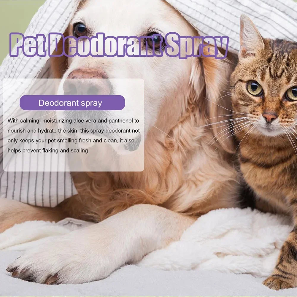 Pet Deodorization Spray 50ml Dog Perfume Lavender Oil Deodorization Spray Anti Itching Fragrant Pet  Cat and Dog Beauty Care