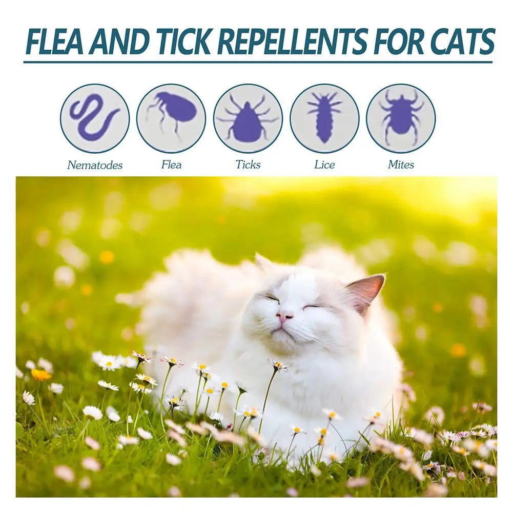 1pcs Pet Flea Killer Drops Anti Fleas Cats Ticks Lice Mite Removal Relieve Itching Dogs Ringworm Treatment Pet Insect Removal