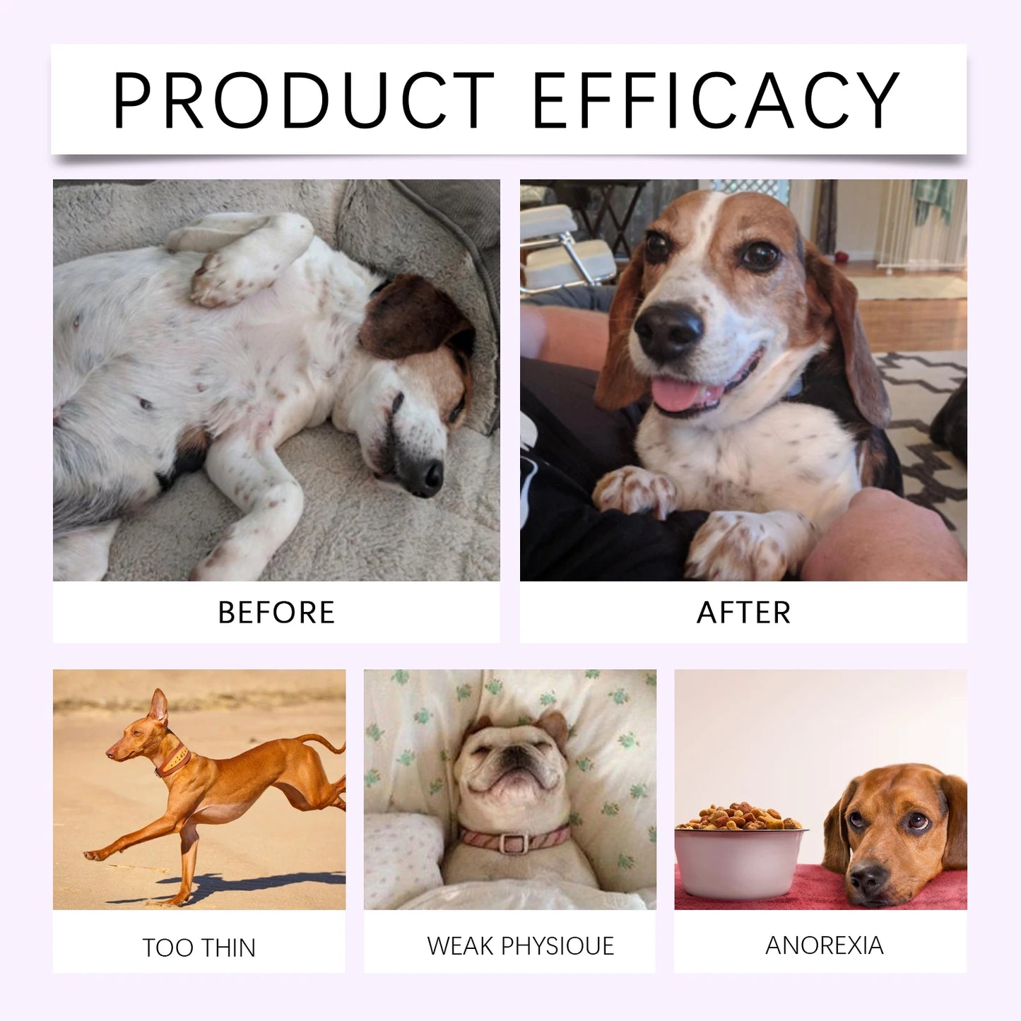 Yegbong Pet Care Supplement for Promoting Kidney Health – Enhances Pets' Vitality with Gentle Ingredients