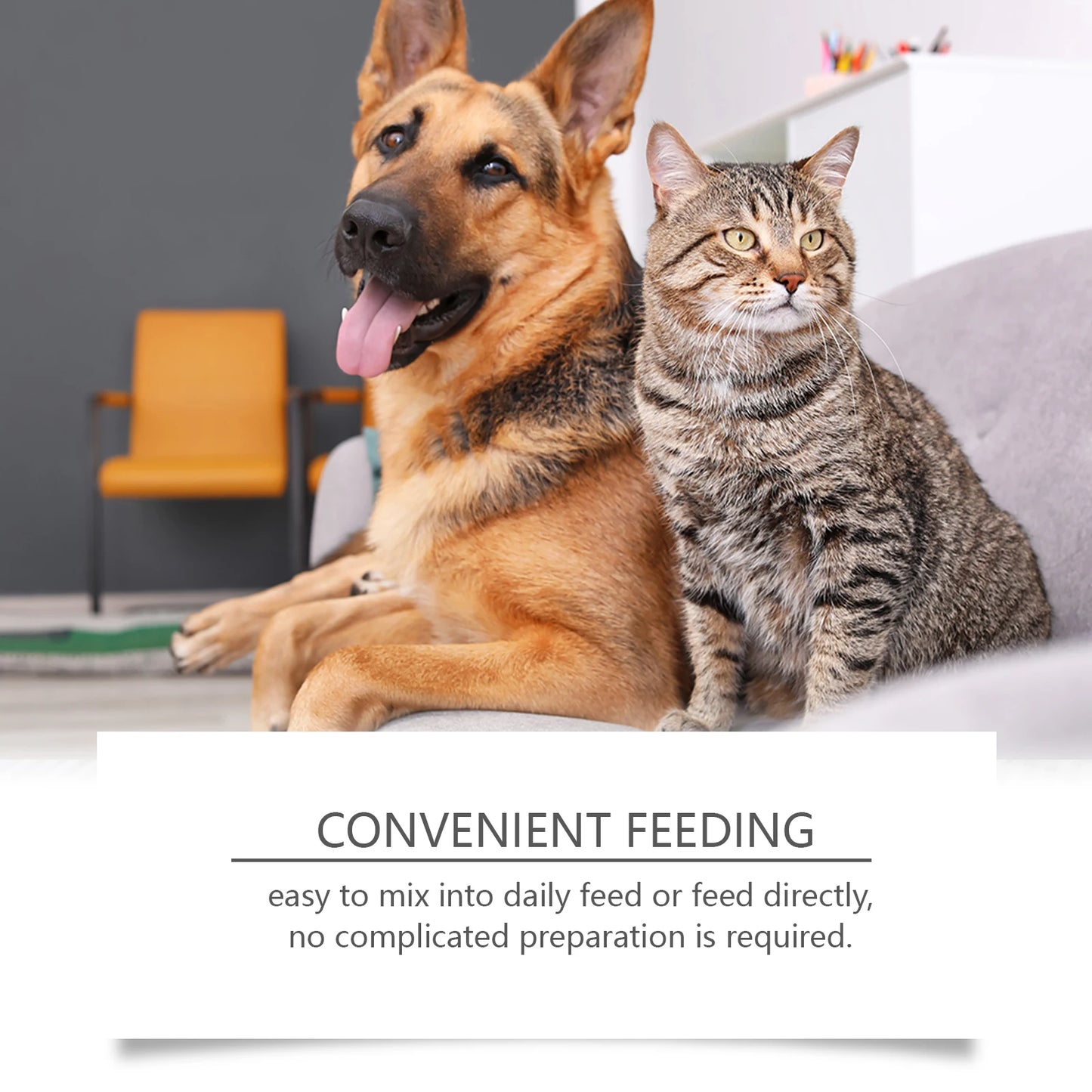 Yegbong Pet Care Supplement for Promoting Kidney Health – Enhances Pets' Vitality with Gentle Ingredients