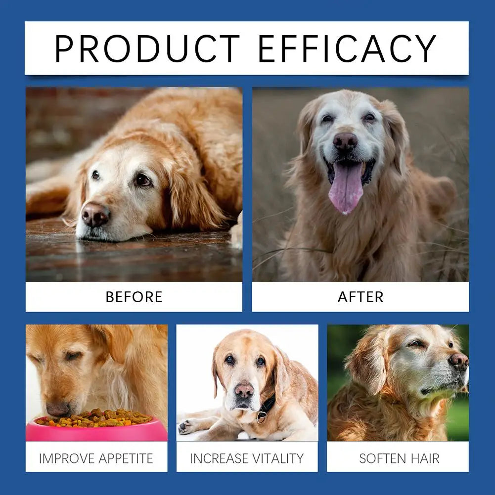 Trace Tablets For Elderly Dogs 80 Tablets Potent Antioxidants Mineral Joint Health Immune System Wellness Supplement