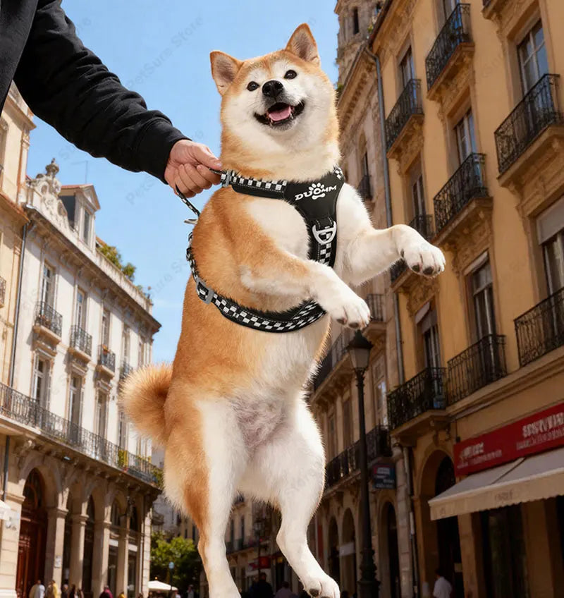 Escape Proof Dog Harness Soft Padded Full Body Pet Harness Reflective Adjustable No Pull Vest with Lift Handle and Leash Clip