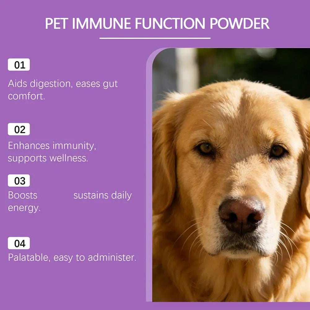 Dog Probiotic Intestinal Powder Delicious Bacon Flavor Digestive Support Long Shelf Life Premium Pet Health Supplement