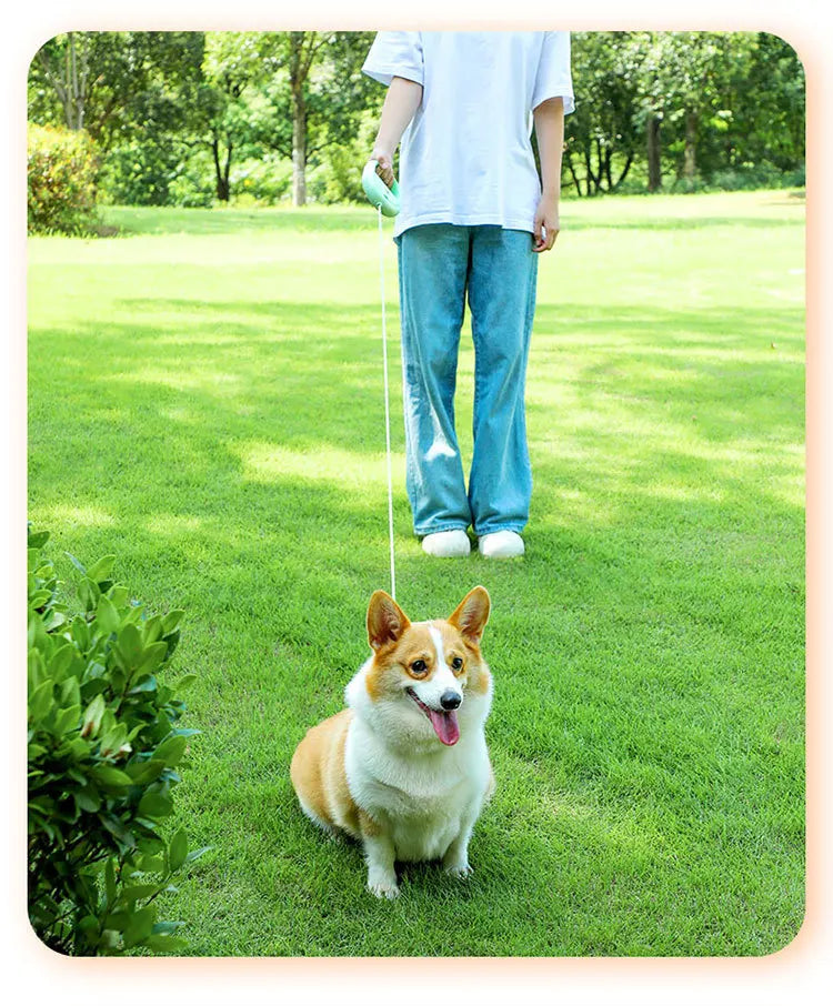 Retractable Dog Leash Pet Leash Traction Rope Belt Automatic Flexible Leash For Small Medium Large Dog Product Accessories