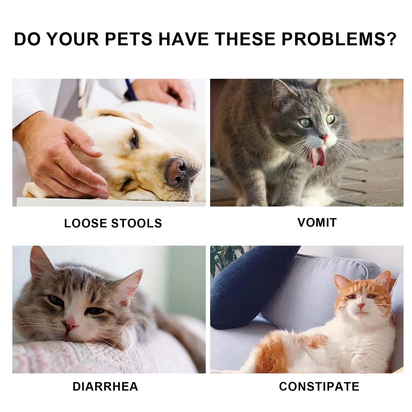 Yegbong Pet Health Drops Cats Dogs Balanced Nutrition Enhance Puppy Kitten Disease Immunity Multi Vitamin Pet Health Supplements