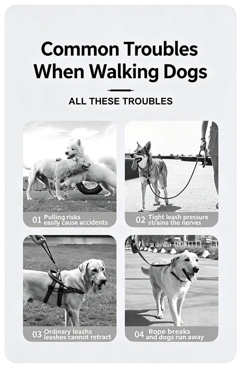 3M/5M Retractable Dog Leash Anti-Burst Dogs Lead for Outdoor Walking One Click Brake Pets Traction Rope for Small Medium Dogs