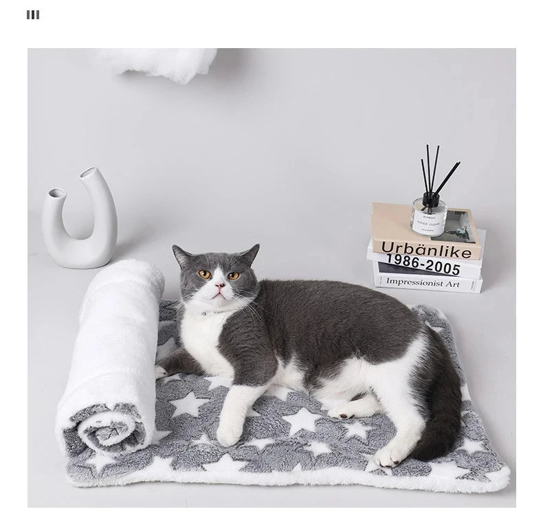 Flannel Pet Sleeping Mat Dog Bed Cat Litter Puppy Bed Dog Sofa Lovely Mattress Cushion for Small Large Dog Blanket For Winter