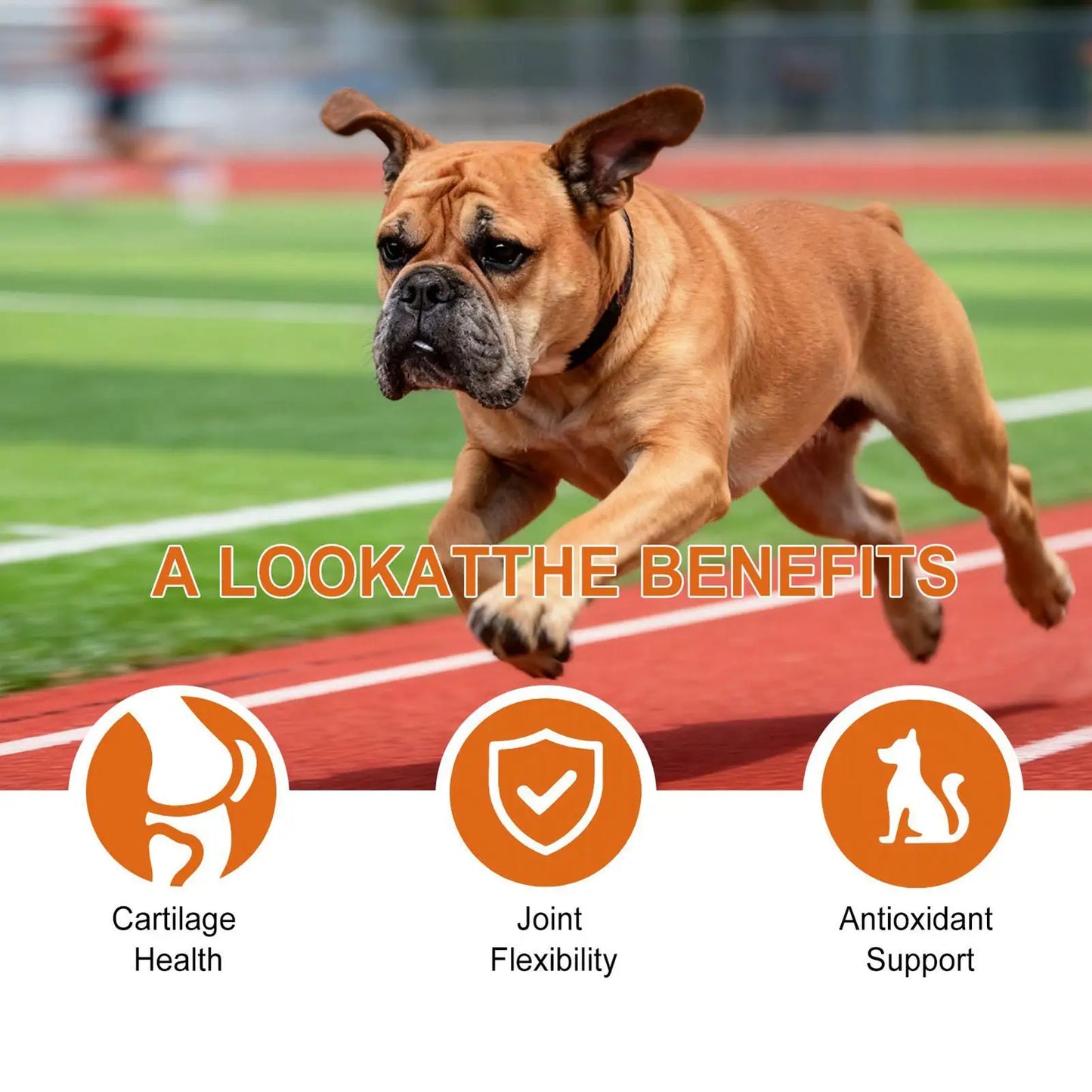 Joint Supplement For Dogs Chewable Pill 100-piece Dog Hip & Joint Care For Home Travel Daily Care Digestive Absorption Pet