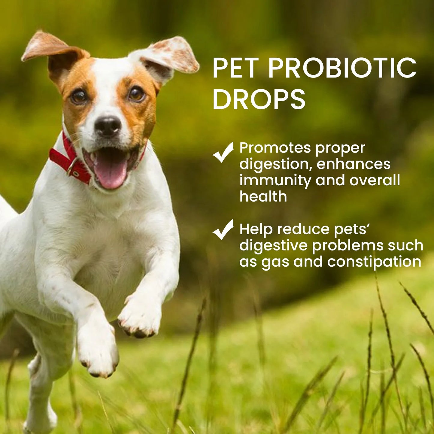 Pet Health Supplements Multi Vitamin Enhance Physical Fitness Protect Dogs Cats Stomach Oral Care Bad Breath Removal Pet Drops