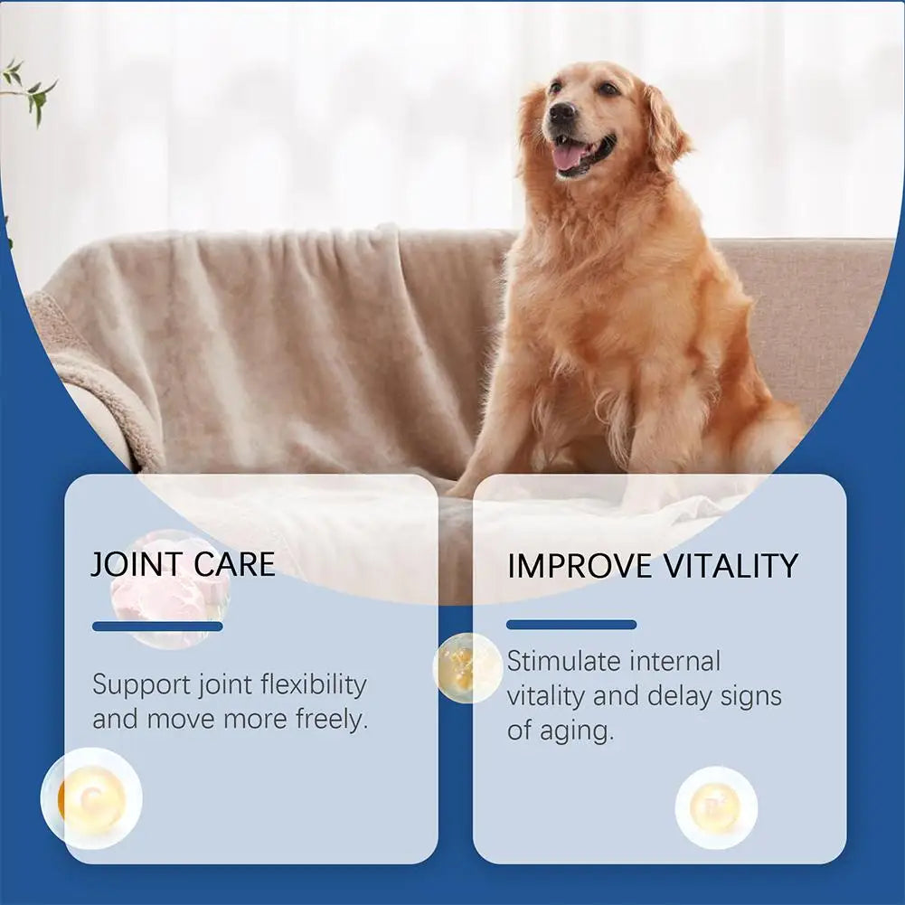 Trace Tablets For Elderly Dogs 80 Tablets Potent Antioxidants Mineral Joint Health Immune System Wellness Supplement