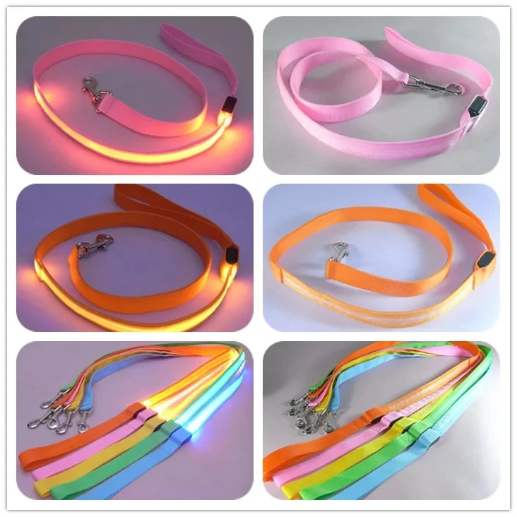 Glowing Led Dog Leash Usb Rechargeable Pet Dog Flashing Nylon Webbing Leashes- 3 Lighting Modes Keep Your Pets Safe In Darkness