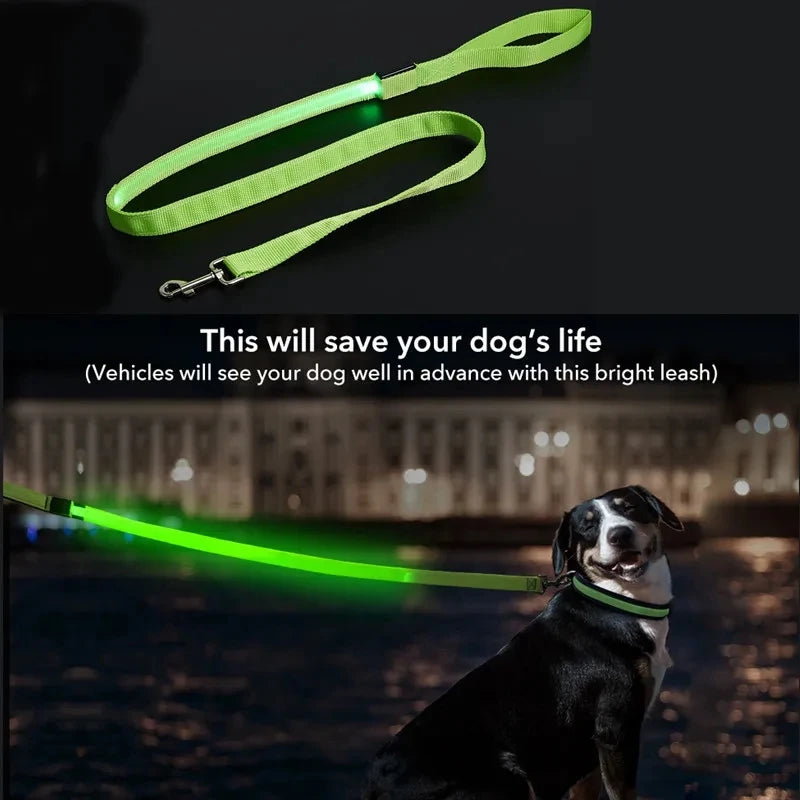 Glowing Led Dog Leash Usb Rechargeable Pet Dog Flashing Nylon Webbing Leashes- 3 Lighting Modes Keep Your Pets Safe In Darkness