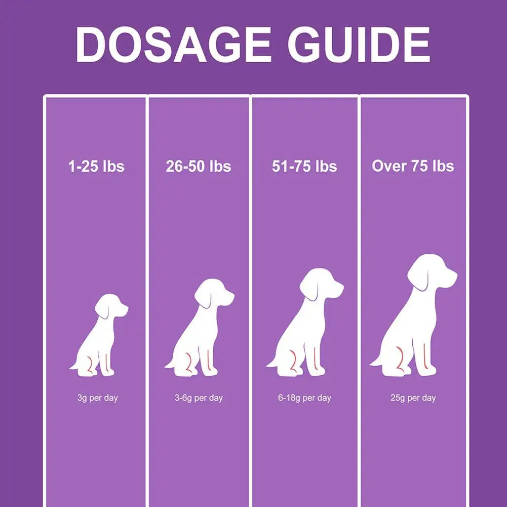 Dog Probiotic Intestinal Powder Delicious Bacon Flavor Digestive Support Long Shelf Life Premium Pet Health Supplement