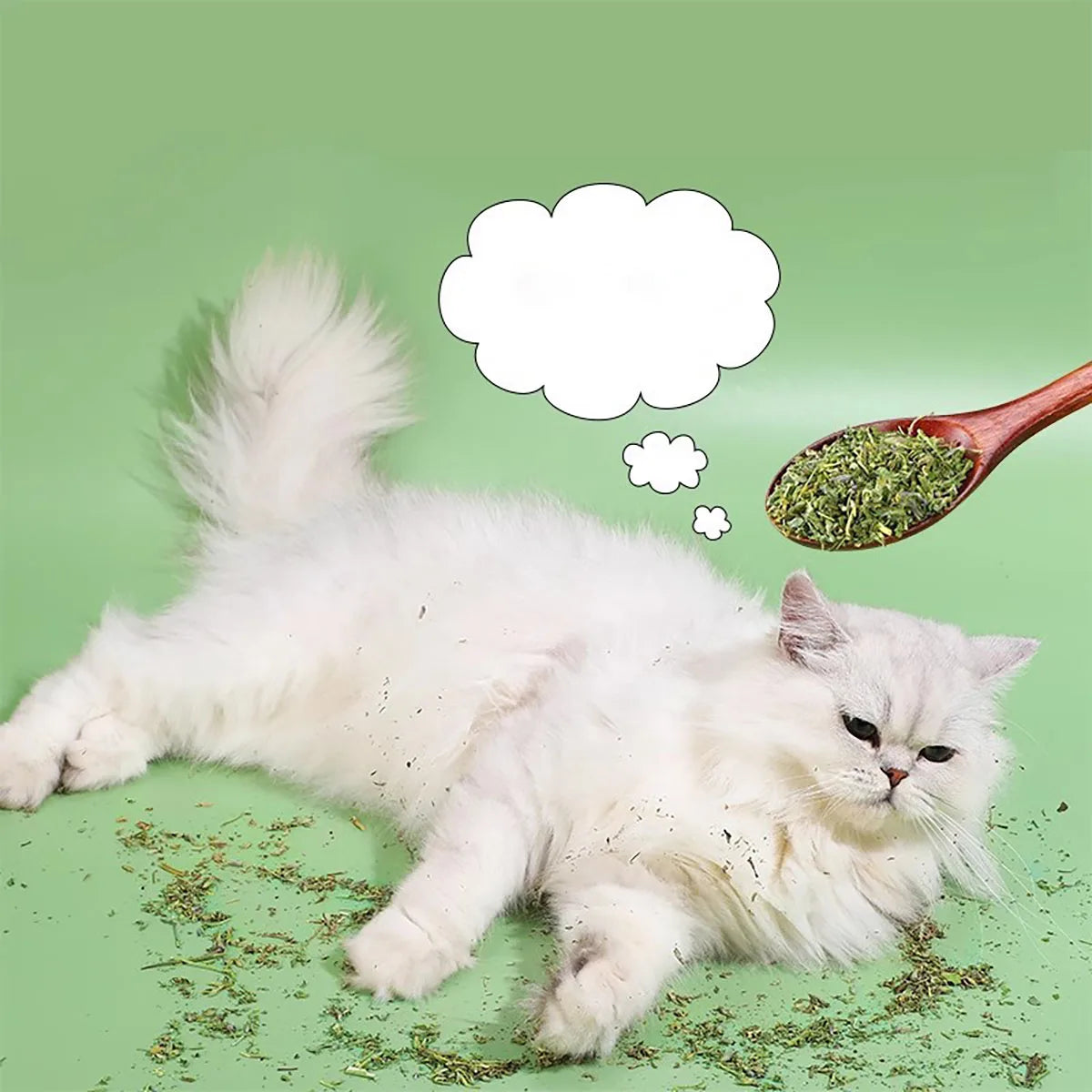 Organic 100% Natural High Quality Catnip Cattle Grass Mint Taste Funny Cat Toy New Cat Toy Interactive Cat Toys Pet Supplies