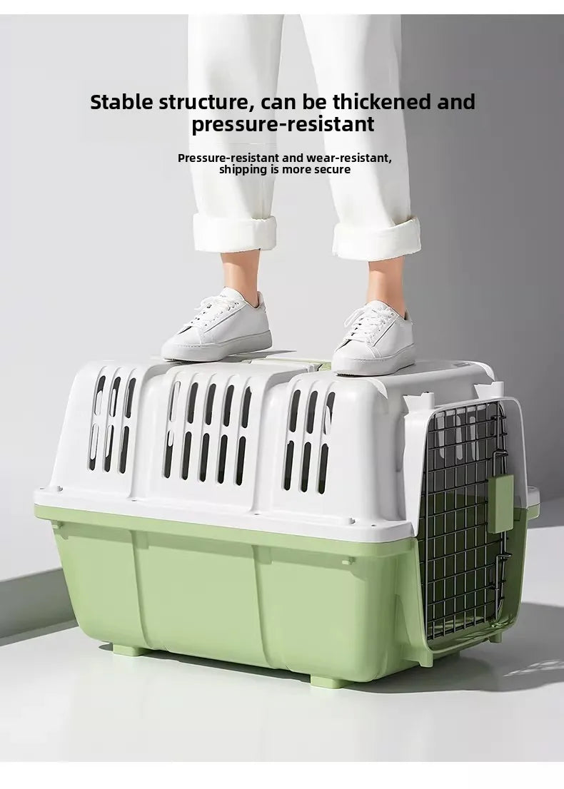 Pet Carrier Hard Plastic Travel Crate for Cats and Small Dogs Ventilated Car Kennel with Sturdy Handle for Outdoor Hiking